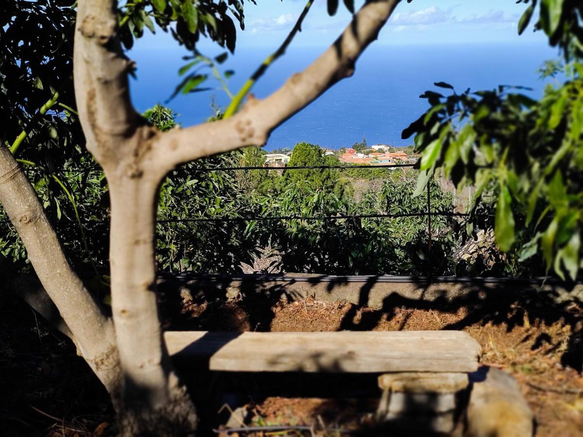 La Casa De La Cartita Villa ปุนตากอร์ดา ภายนอก รูปภาพ