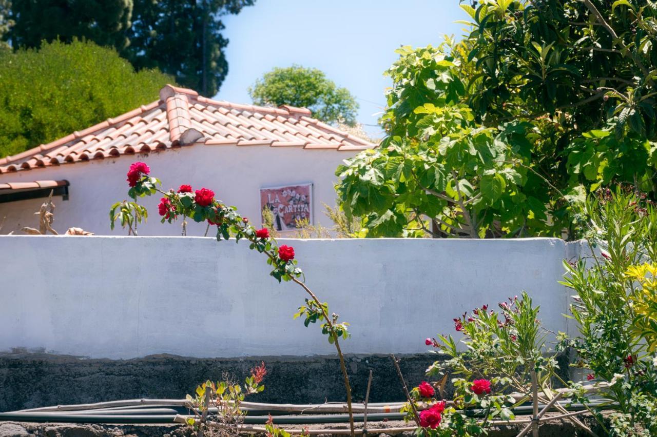 La Casa De La Cartita Villa ปุนตากอร์ดา ภายนอก รูปภาพ